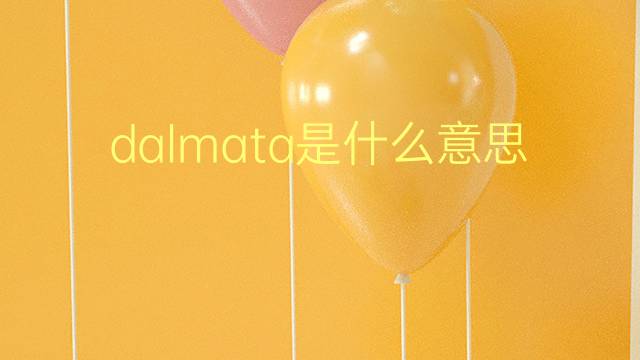 dalmata是什么意思 dalmata的翻译、读音、例句、中文解释