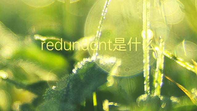 redundant是什么意思 redundant的翻译、读音、例句、中文解释