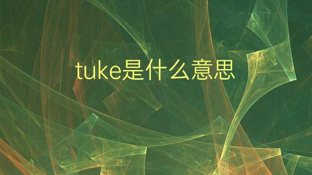 tuke是什么意思 英文名tuke的翻译、发音、来源