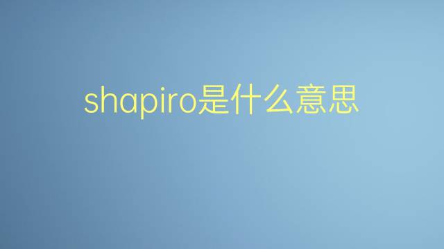 shapiro是什么意思 shapiro的翻译、读音、例句、中文解释