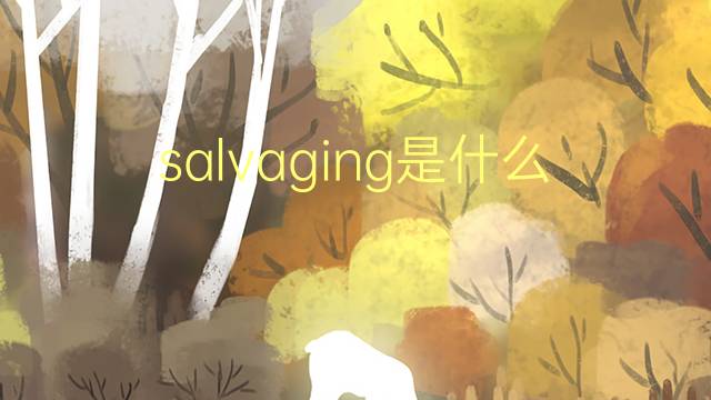 salvaging是什么意思 salvaging的翻译、读音、例句、中文解释