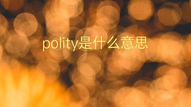 polity是什么意思 polity的翻译、读音、例句、中文解释