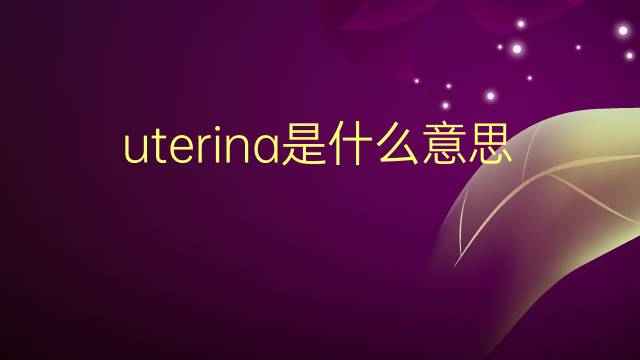 uterina是什么意思 uterina的翻译、读音、例句、中文解释