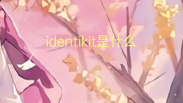 identikit是什么意思 identikit的翻译、读音、例句、中文解释