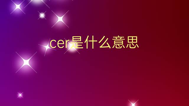 cer是什么意思 cer的翻译、读音、例句、中文解释