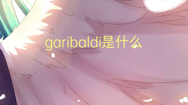 garibaldi是什么意思 garibaldi的翻译、读音、例句、中文解释