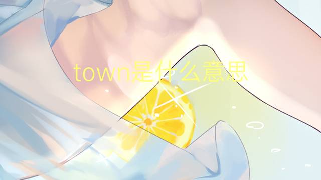 town是什么意思 town的翻译、读音、例句、中文解释