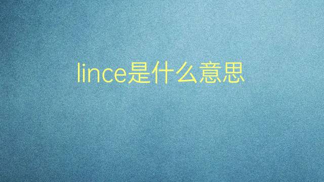 lince是什么意思 lince的翻译、读音、例句、中文解释