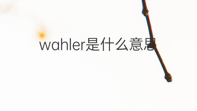 wahler是什么意思 wahler的翻译、读音、例句、中文解释