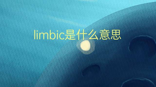 limbic是什么意思 limbic的翻译、读音、例句、中文解释