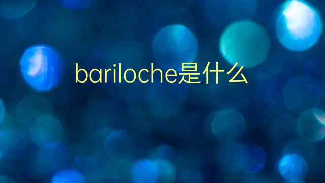 bariloche是什么意思 bariloche的翻译、读音、例句、中文解释