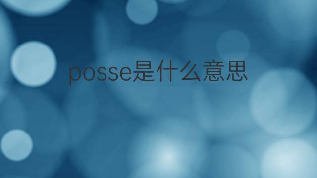 posse是什么意思 posse的翻译、读音、例句、中文解释