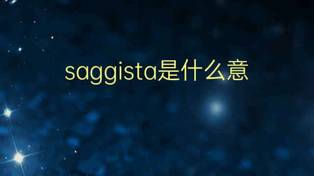 saggista是什么意思 saggista的翻译、读音、例句、中文解释