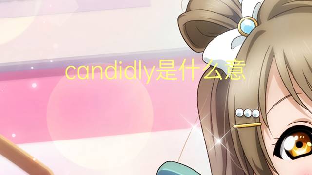 candidly是什么意思 candidly的翻译、读音、例句、中文解释