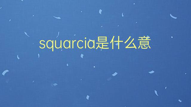 squarcia是什么意思 squarcia的翻译、读音、例句、中文解释