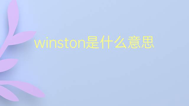 winston是什么意思 winston的翻译、读音、例句、中文解释