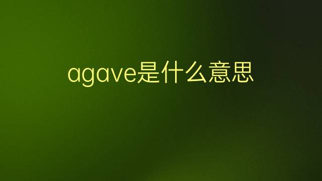 agave是什么意思 agave的翻译、读音、例句、中文解释