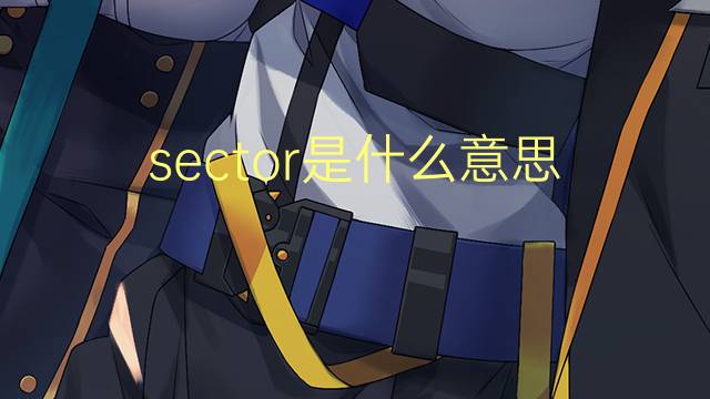 sector是什么意思 sector的翻译、读音、例句、中文解释