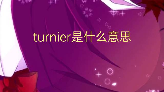 turnier是什么意思 turnier的翻译、读音、例句、中文解释