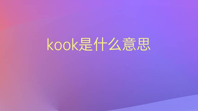 kook是什么意思 kook的翻译、读音、例句、中文解释