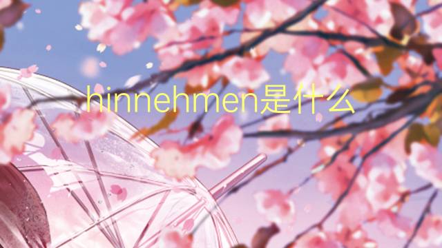 hinnehmen是什么意思 hinnehmen的翻译、读音、例句、中文解释