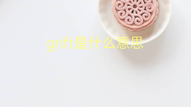 grift是什么意思 grift的翻译、读音、例句、中文解释