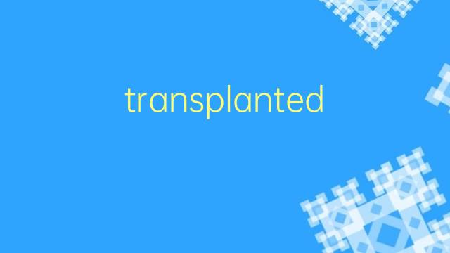 transplanted是什么意思 transplanted的翻译、读音、例句、中文解释