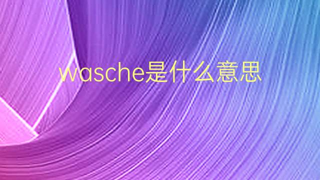 wasche是什么意思 wasche的翻译、读音、例句、中文解释