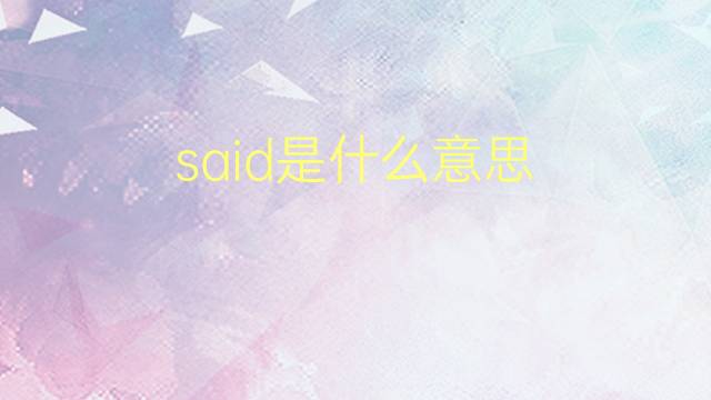 said是什么意思 said的翻译、读音、例句、中文解释