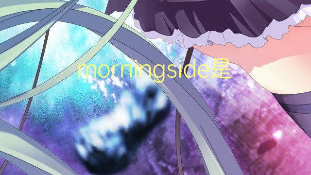 morningside是什么意思 morningside的翻译、读音、例句、中文解释