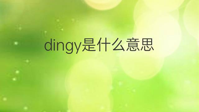 dingy是什么意思 dingy的翻译、读音、例句、中文解释