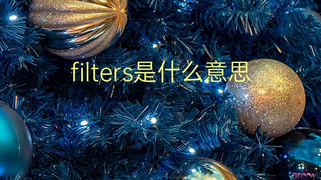 filters是什么意思 filters的翻译、读音、例句、中文解释