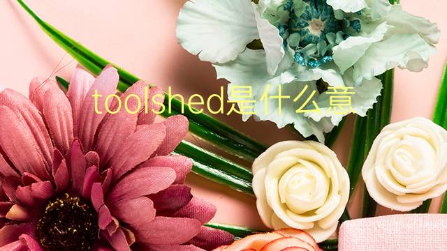 toolshed是什么意思 toolshed的翻译、读音、例句、中文解释