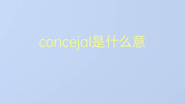 concejal是什么意思 concejal的翻译、读音、例句、中文解释