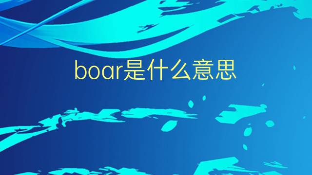 boar是什么意思 boar的翻译、读音、例句、中文解释