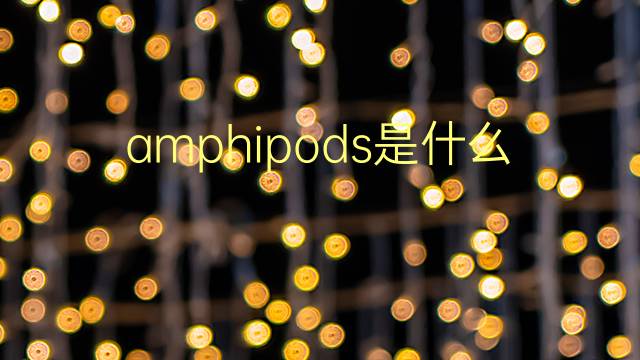 amphipods是什么意思 amphipods的翻译、读音、例句、中文解释