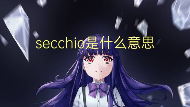 secchio是什么意思 secchio的翻译、读音、例句、中文解释