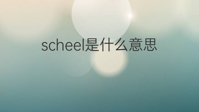 scheel是什么意思 scheel的翻译、读音、例句、中文解释