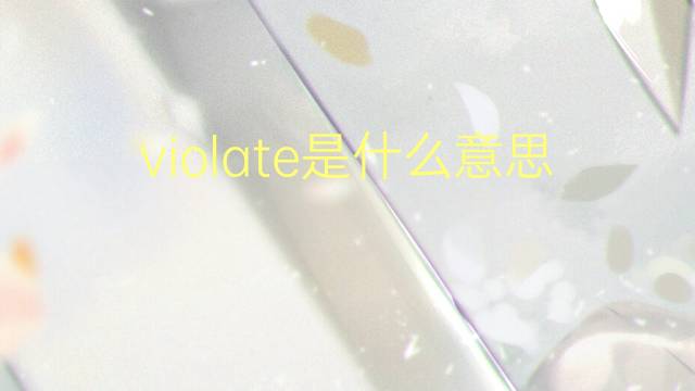 violate是什么意思 violate的翻译、读音、例句、中文解释