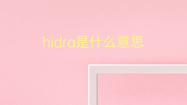 hidra是什么意思 hidra的翻译、读音、例句、中文解释