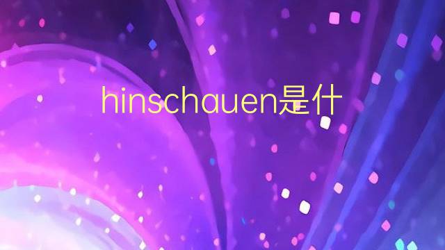 hinschauen是什么意思 hinschauen的翻译、读音、例句、中文解释