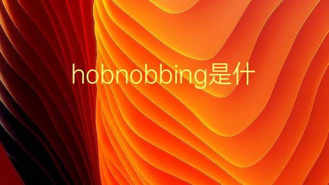 hobnobbing是什么意思 hobnobbing的翻译、读音、例句、中文解释