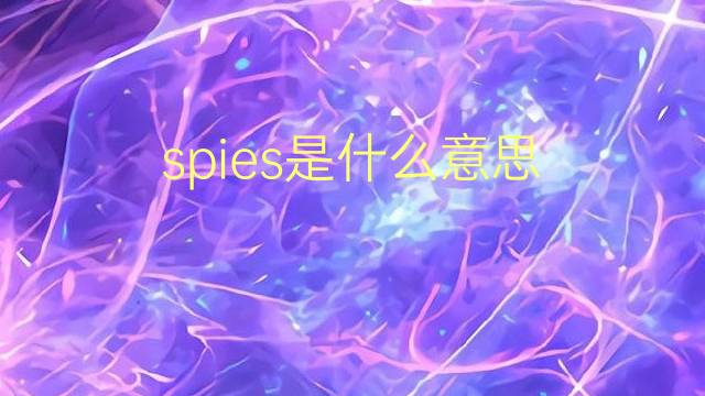 spies是什么意思 spies的翻译、读音、例句、中文解释