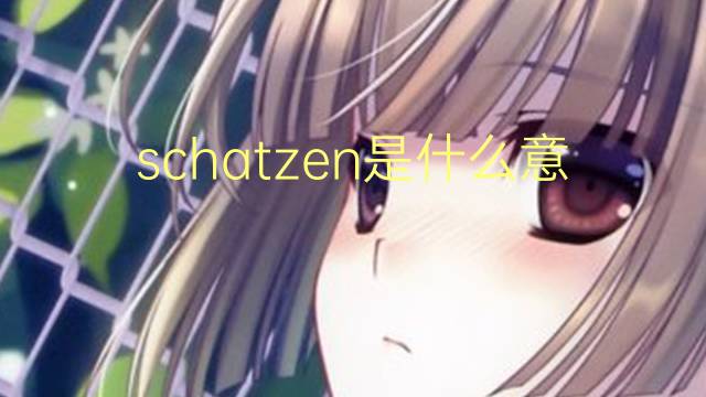 schatzen是什么意思 schatzen的翻译、读音、例句、中文解释