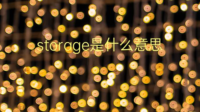 storage是什么意思 storage的翻译、读音、例句、中文解释