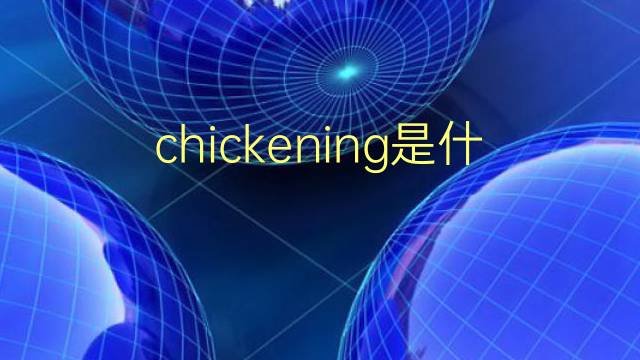 chickening是什么意思 chickening的翻译、读音、例句、中文解释