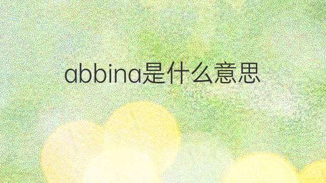 abbina是什么意思 abbina的翻译、读音、例句、中文解释