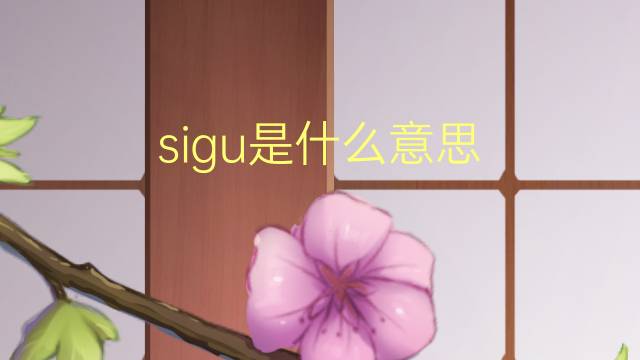 sigu是什么意思 sigu的翻译、读音、例句、中文解释