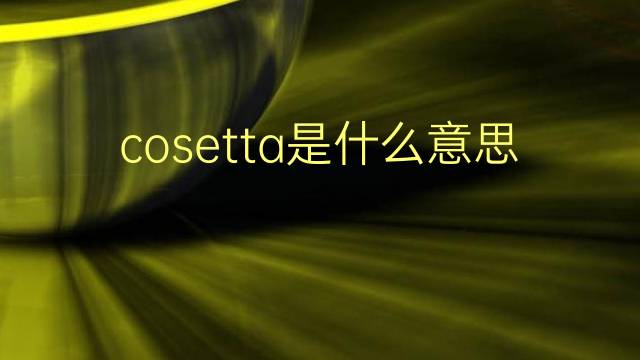 cosetta是什么意思 cosetta的翻译、读音、例句、中文解释