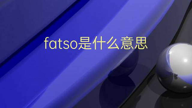 fatso是什么意思 fatso的翻译、读音、例句、中文解释